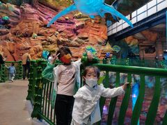 -青岛嘉年华主题乐园