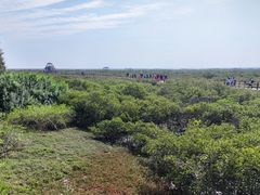 -北海金海湾红树林生态旅游区