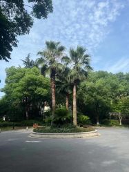 -汾阳花园酒店·宴会厅