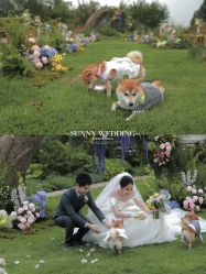-Sunny喜铺婚礼定制·求婚策划