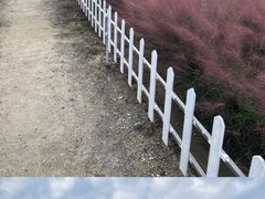 -嘉北郊野公园