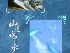 -南昌海洋公园