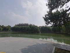 -黄村公园