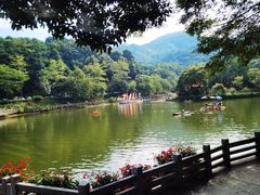 -广州市帽峰山景区
