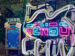 -杭州开元森泊度假乐园