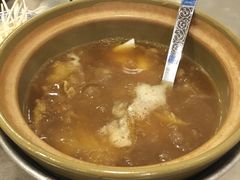 -大中鱼翅 Taitong Shark Fin
