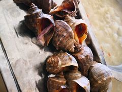 -大连海鲜斑鱼火锅(安平店)