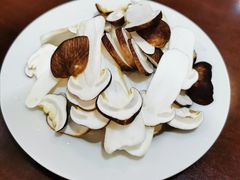 -菌之家·专业纯野生菌火锅·特色炒菌