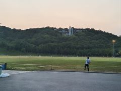 -羊山湖公园