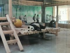 -西安秦岭野生动物园