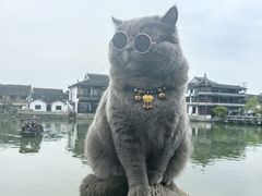 -锦溪古镇