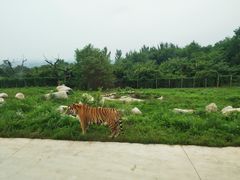 -西安秦岭野生动物园