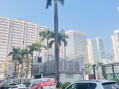 景观位-JASON杰森