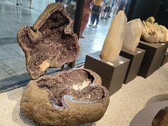 -浙江自然博物院(杭州馆)