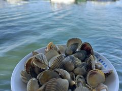 -蓝湾碧波·老字号·疍家非遗海上餐厅