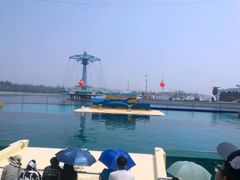 -秦皇岛乐岛海洋王国