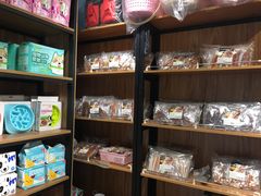 -小呆的宠物店·宠物售卖·宠物寄养(城西店)