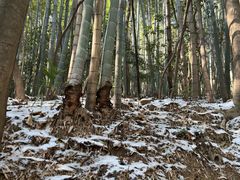 -敬亭山风景名胜区