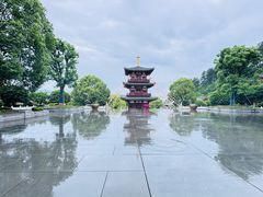-庐山风景名胜区-东林大佛
