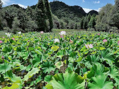 -贵阳市花溪国家城市湿地公园
