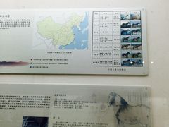 包头市博物馆-包头博物馆