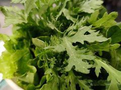 皇帝菜-百年果林椰子鸡(益田假日里店)