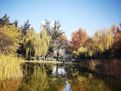 -木塔寺遗址生态公园
