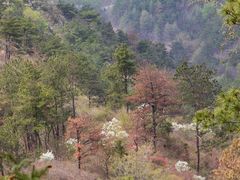-木兰云雾山