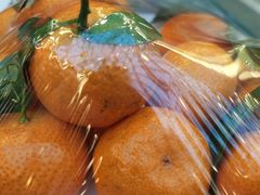 -天毓山庄·餐厅