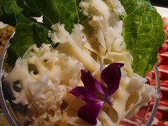 -川西坝子(老军营店)