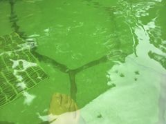 -融汇温泉