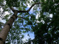 -福建师范大学(仓山校区)