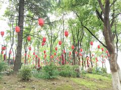 -月湖风景区