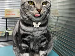 -安安宠物医院(情缘分院)