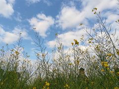 -光明小镇欢乐田园