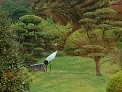 -西郊宾馆·1921餐厅