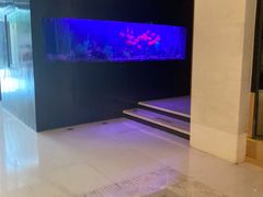 -听松楼·花园酒店·自助餐厅(红梅公园店)