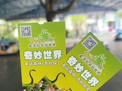 -佛冈森波拉度假区