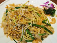 XO酱炒陈村粉-黄但记老店·陈村粉食府