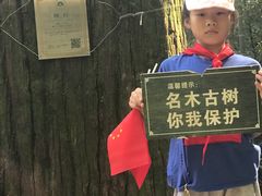 -仙霞关景区