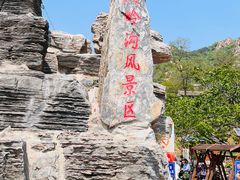 -大岭沟猕猴桃谷风景区