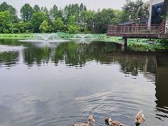 -上海怡沁园度假酒店