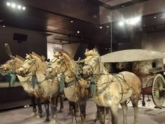-秦始皇帝陵博物院-丽山园