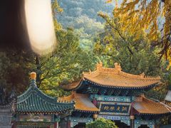 -终南山古楼观历史文化景区