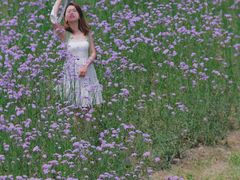 -怡海公园(桂城街道)