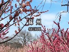 -雨花胜境