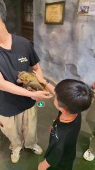 -Zoolung Zoolung动物主题公园(海信广场店)