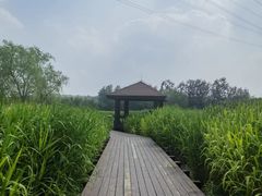 -永定河休闲森林公园