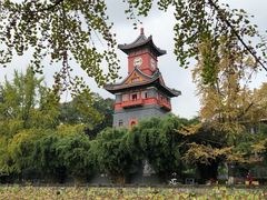 -四川大学(华西校区)