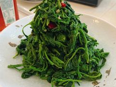 炝拌桑野菜-鑫巴蜀小镇 · 水煮鱼专研店(玉桥店)